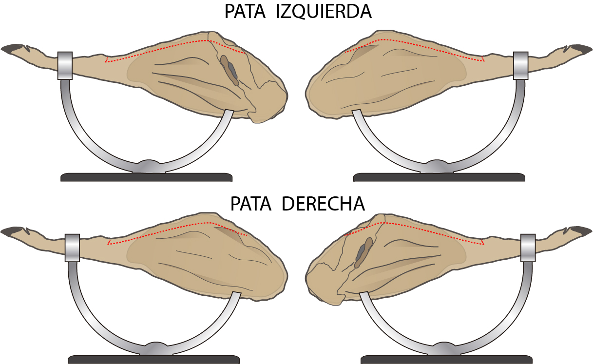 limpieza de la maza con el jarrete