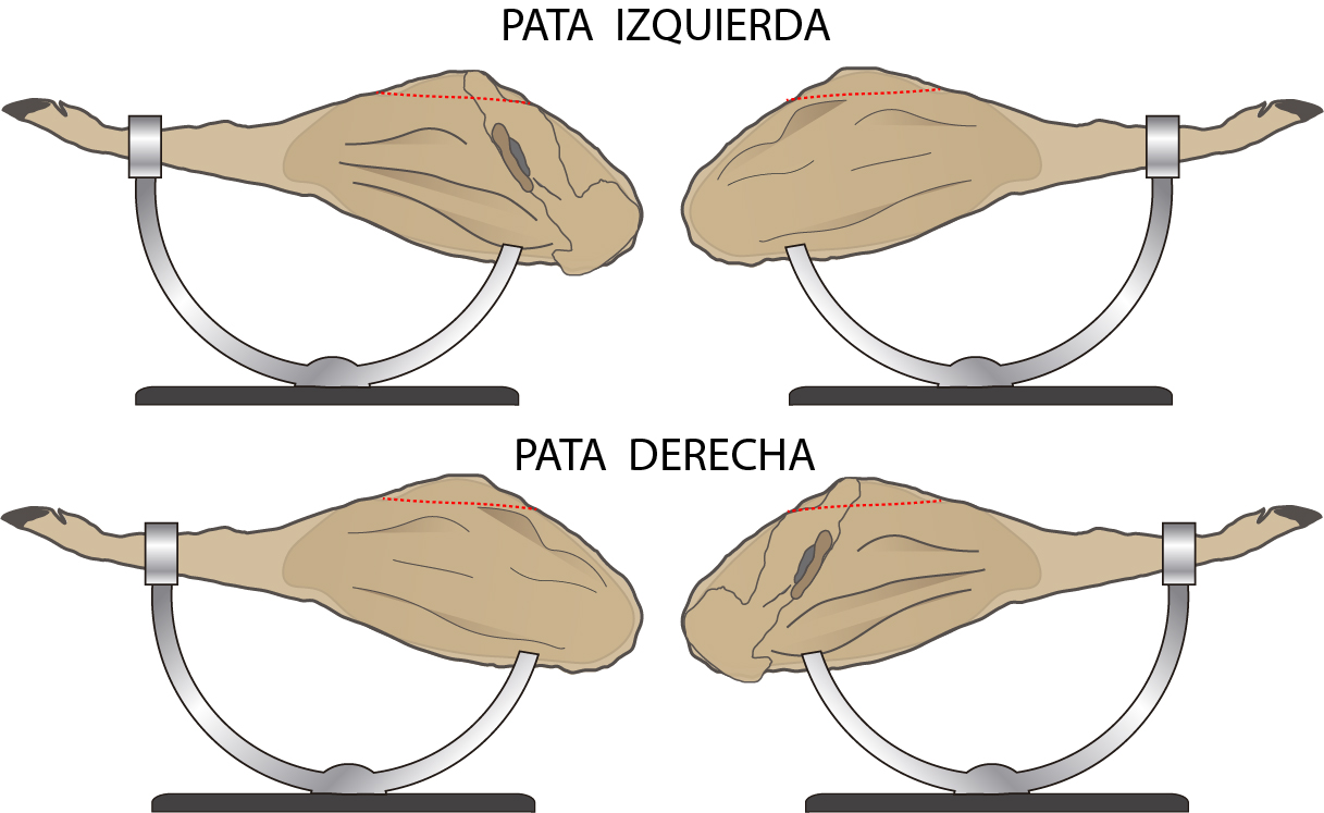 limpieza de la maza sin jarrete