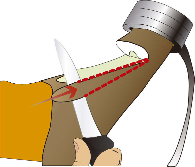 limpiar los laterales de cuero